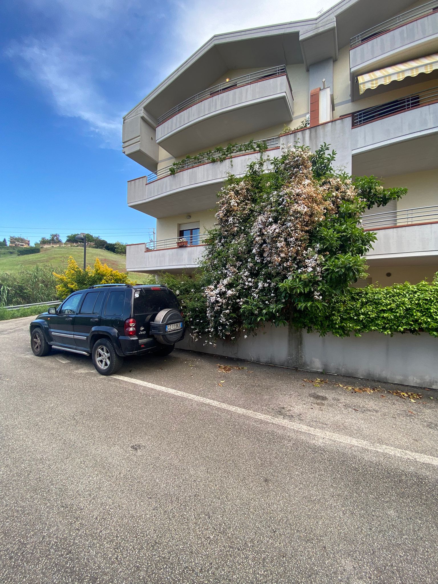 MONTESILVANO - VIA COLLI EUGANEI